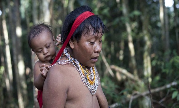 Tutto il male che subiscono gli Yanomami. L'OSA riconosce la gravità della situazione